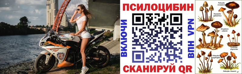 Псилоцибиновые грибы мицелий закладка MEGA сайт Рудня