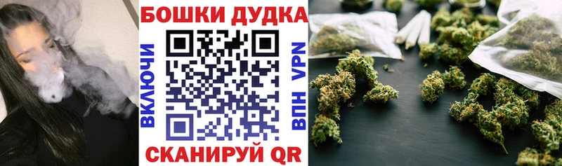 Шишки марихуана сатива  наркошоп  Рудня 